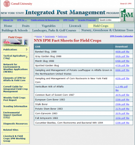 Website of Cornell University