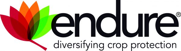 Logo ENDURE