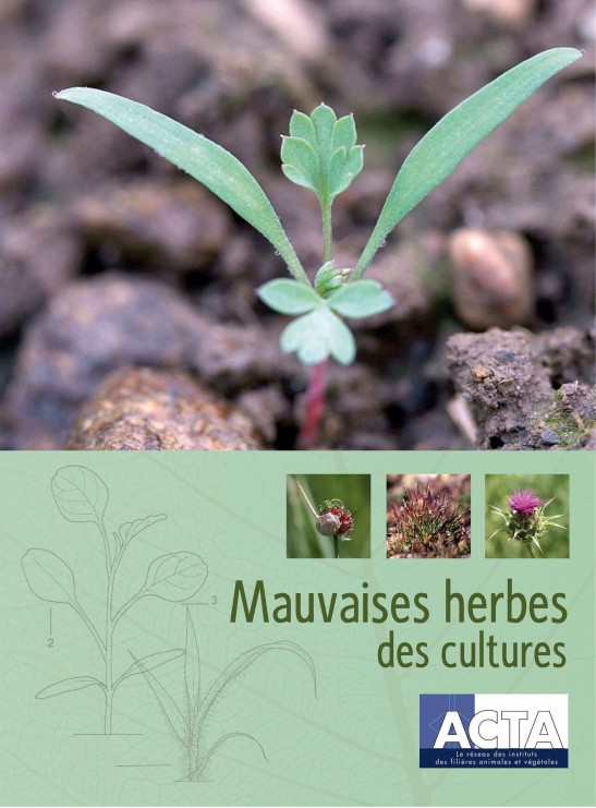 Couverture du livre "Mauvaises herbes des cultures" publié par l'ACTA